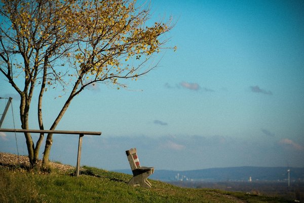 Histoires captivantes de ceux qui ont expérimenté l'acupuncture
